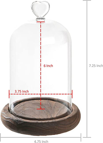 Heart Cloche - Bell Jar Glass Dome with Heart Handle on Wood Base