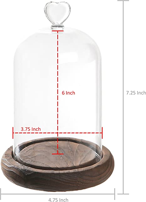 Heart Cloche | Bell Jar Glass Dome with Heart Handle on Wood Base