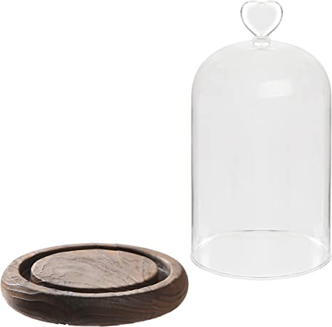 Heart Cloche | Bell Jar Glass Dome with Heart Handle on Wood Base